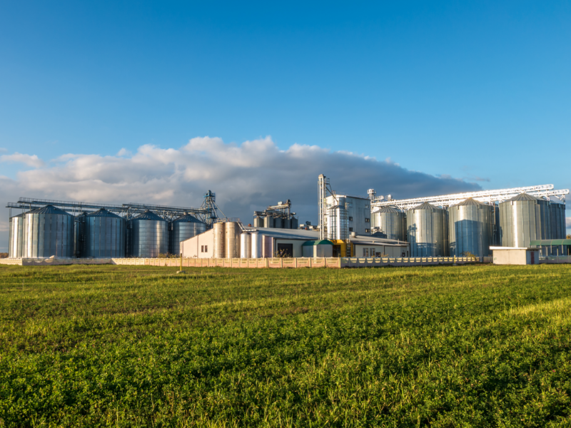 A large factory with silos next to a field on a sunny day.