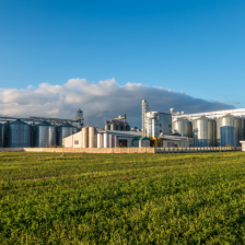 A large factory with silos next to a field on a sunny day.